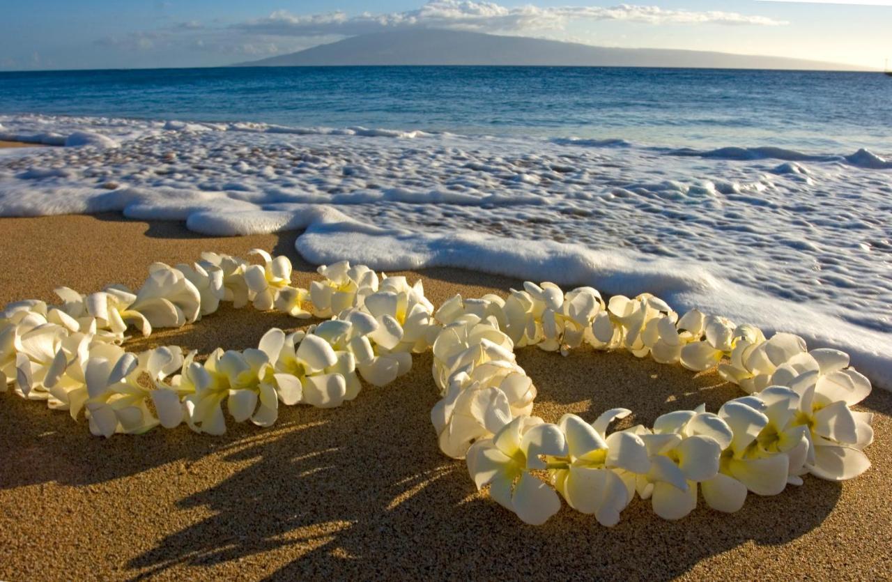 Gorgeous Condo With Ocean View, Near Beach, Free Parking Honolulu Kültér fotó